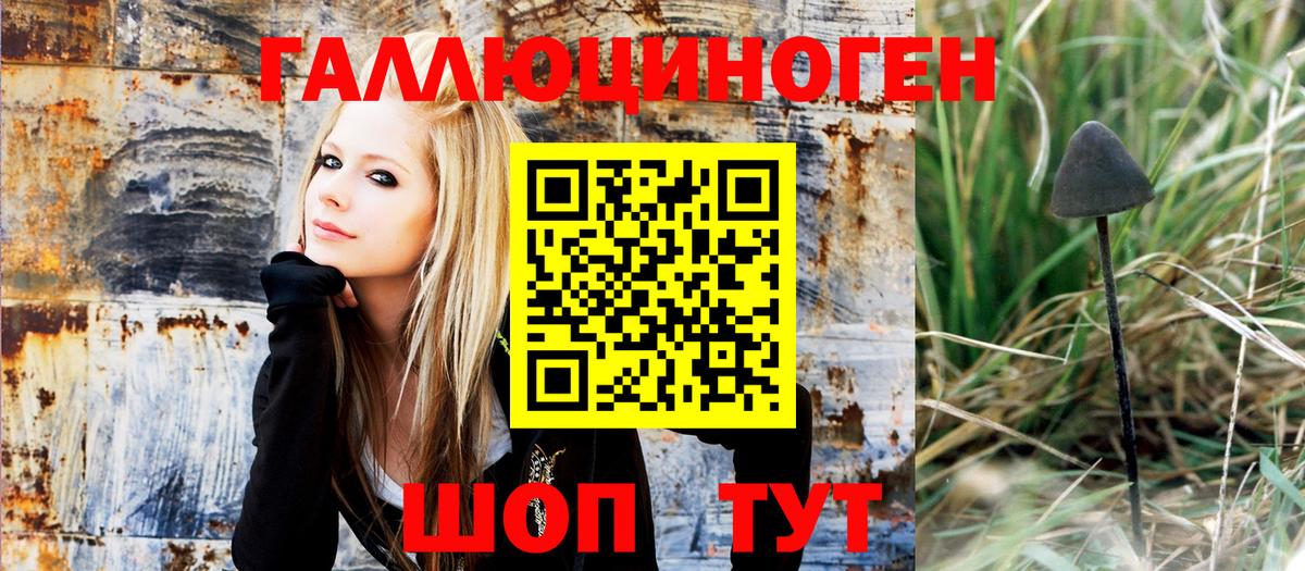Галлюциногенные грибы Psilocybine cubensis  Вход с VPN  Каспийск 