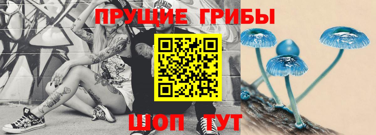 Псилоцибиновые грибы GOLDEN TEACHER Каспийск